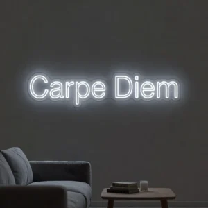Carpe Diem - Néon LED