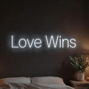 Love Wins - Néon LED