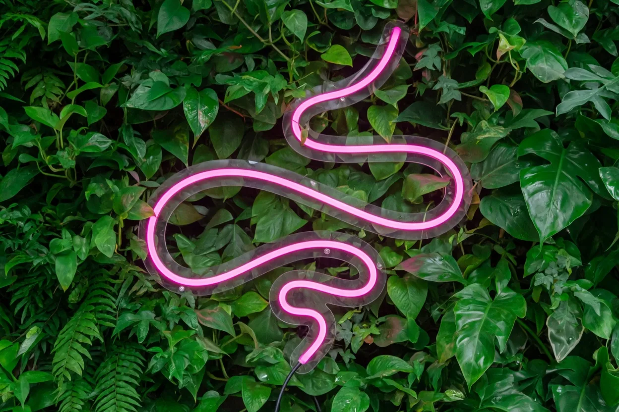 Néon LED rose formant une ligne abstraite sur un mur de feuillage vert luxuriant, contraste maximal rose sur vert