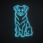 Néon LED Australian Shepherd turquoise, sur plaque en acrylique transparent découpée à la forme