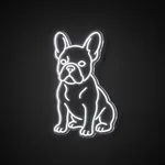Néon LED French Bulldog blanc froid, sur plaque en acrylique transparent découpée à la forme