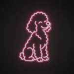 Néon LED Poodle rose, sur plaque en acrylique transparent découpée à la forme