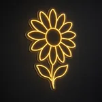 LED-neonskilt Sunflower i varmgul på gjennomsiktig, formskåret akrylplate